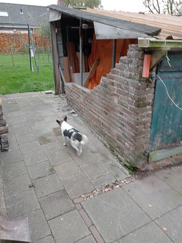 IMG20231122150743(1)